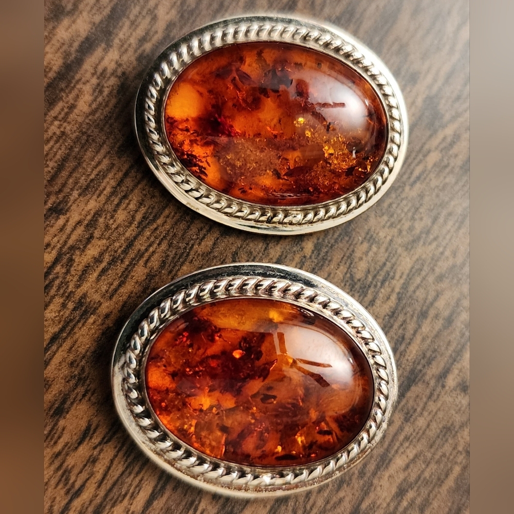 Jay King Amber Earrings - Picture 6 of 8